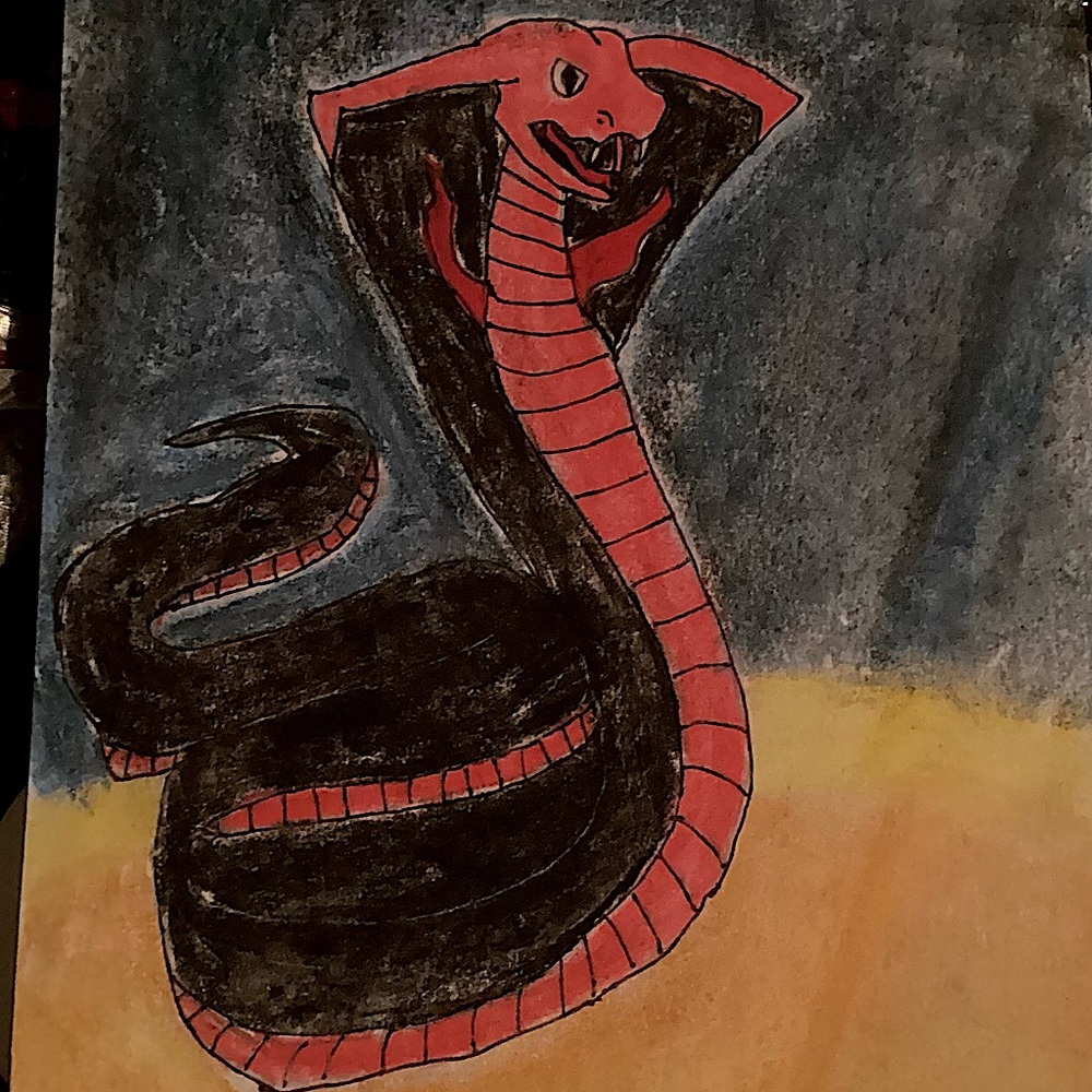 Snake drawing